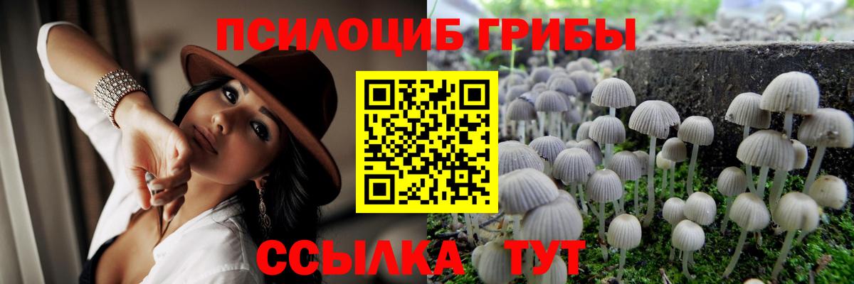 Псилоцибиновые грибы ЛСД Кашира